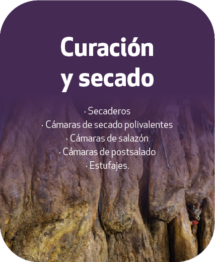 Curación y secado