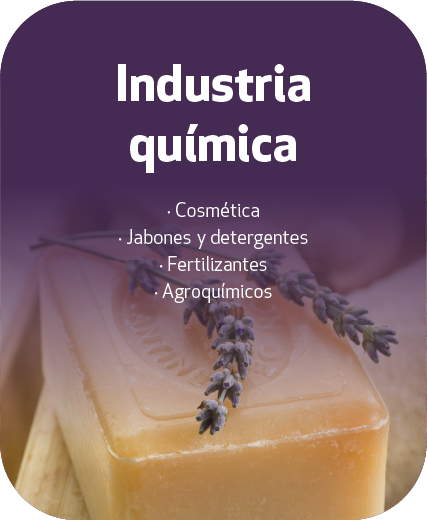 Industria química