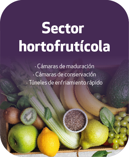 Sector hortifrutícula