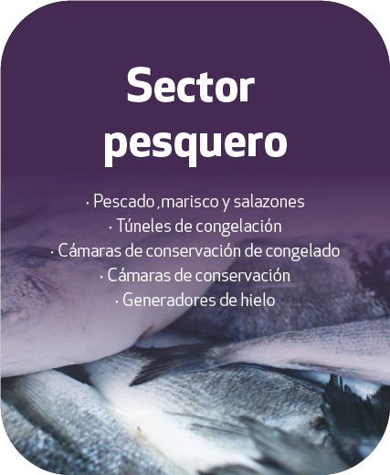 Sector pesquero