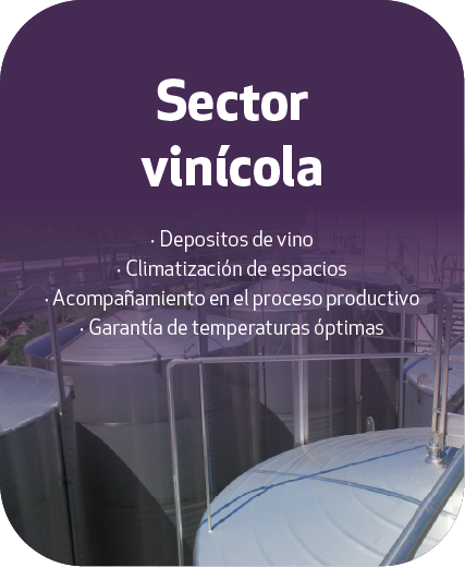 Sector vinícola